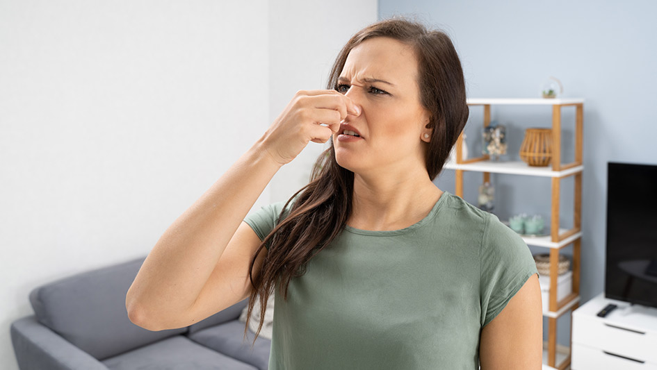 6 Common Air Conditioner Smells Answered and How to Repair the Problem