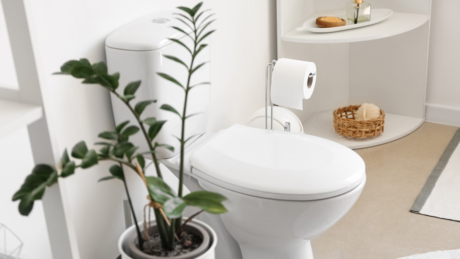 Answered: Why Your Toilet Keeps Running and Five Other Top Issues